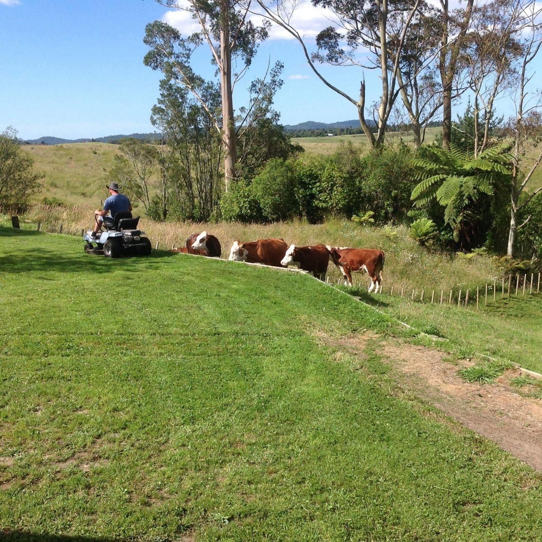 Rolling Hills Country Stay B&B Tauranga Exterior foto
