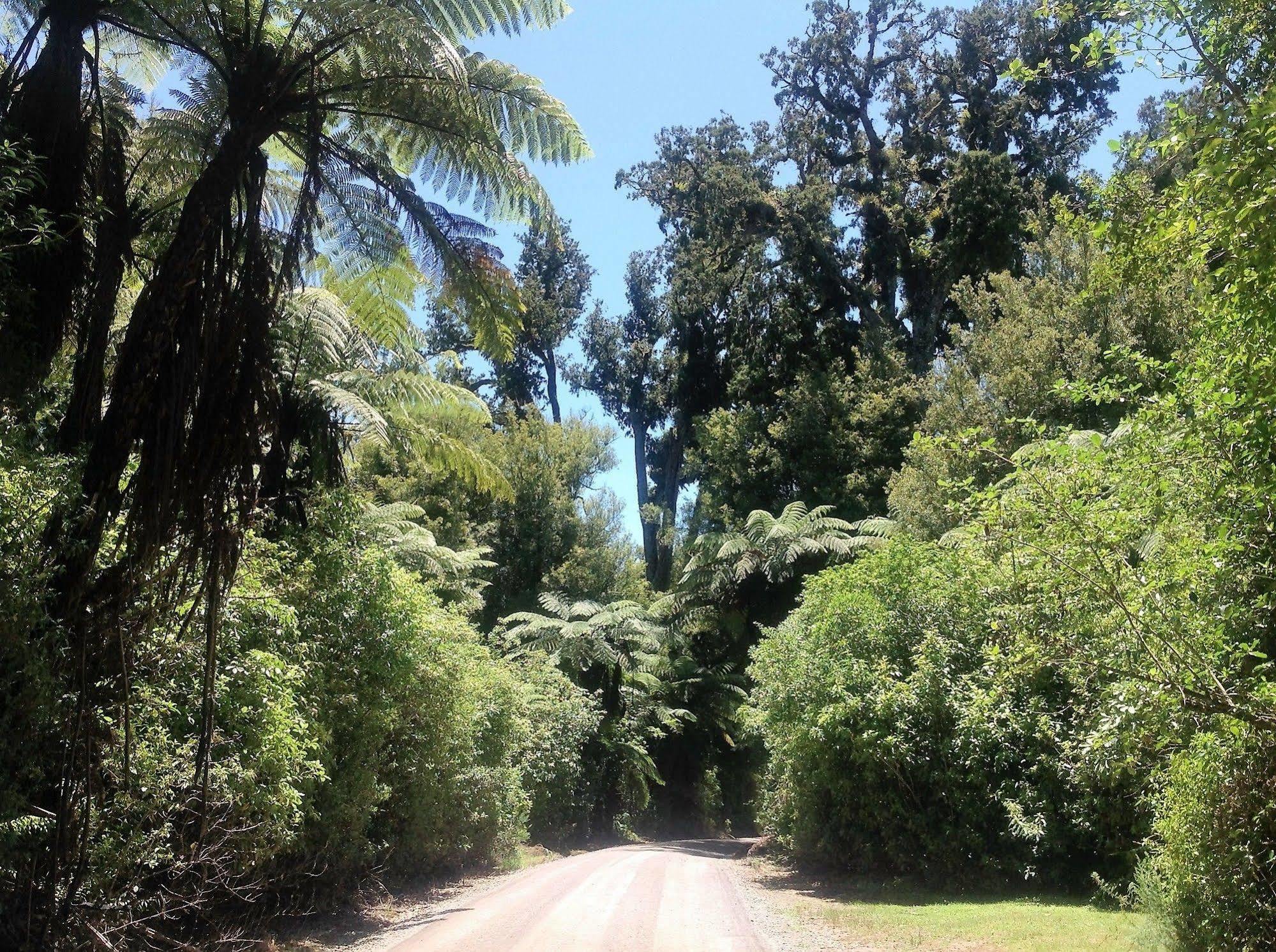 Rolling Hills Country Stay B&B Tauranga Exterior foto